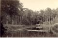 001007 - Waldsee